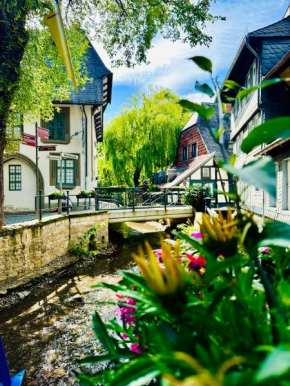 Moderne Altstadt Apartments - Marktplatznähe- ruhige zentrale Lage - Natur&Kultur